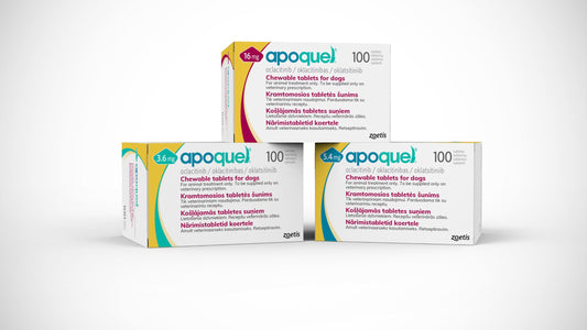 Apoquel Masticable 16 mg Dermatitis Atópica Perros Zoetis