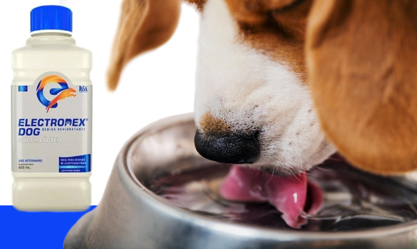 Electrodex Dog Bebida Rehidratante Electrolito para Perro Sabores 625 ml